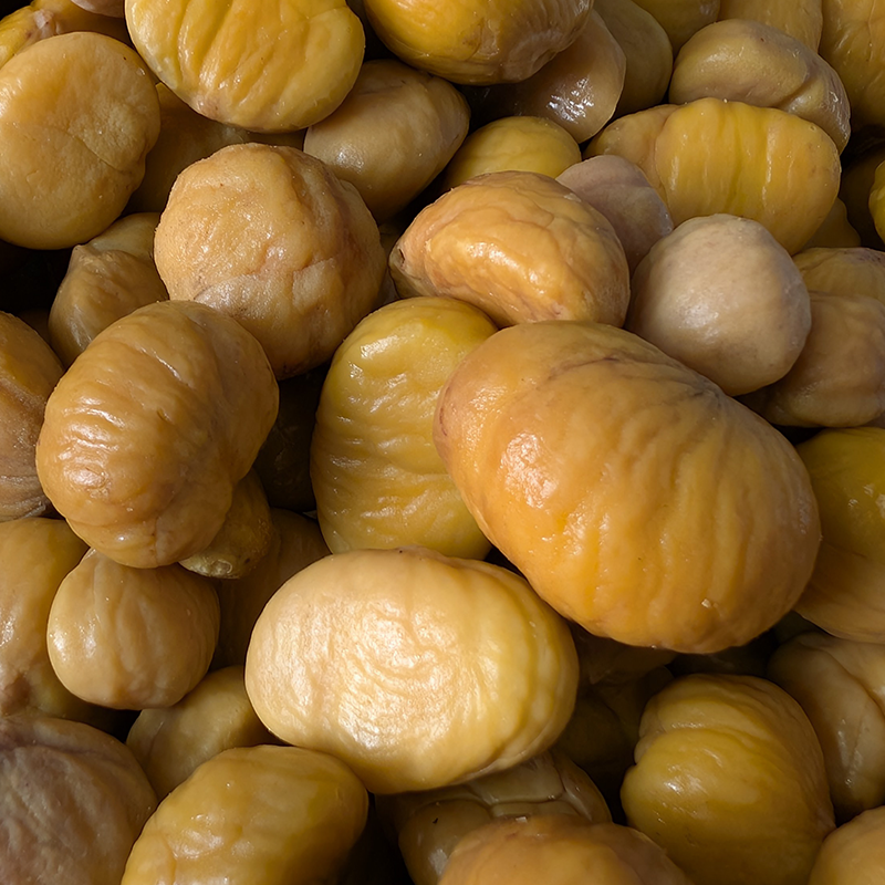 Maroni Tempeh, Limitiert