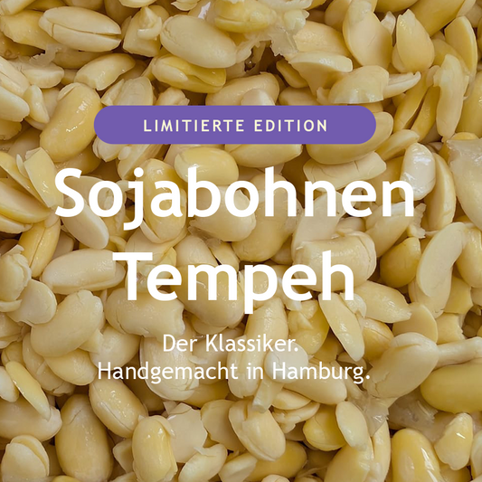 Sojabohnen Tempeh Natur – Limitierte Edition