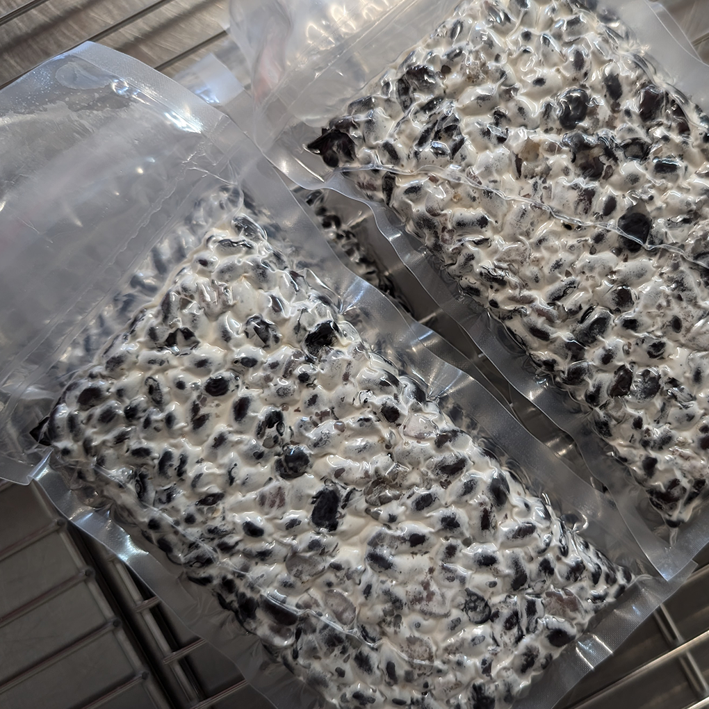 Limitiert: Schwarze Bohnen Tempeh mit Sonnenblumenkernen & Senfsaat